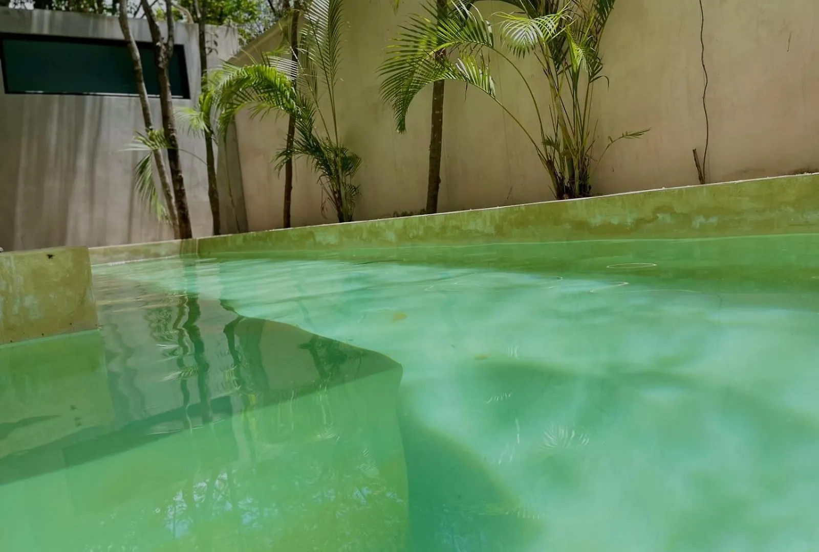 דירות טולום Refugio Armonia Con Piscina Privada - Harmony Retreat With Private Pool