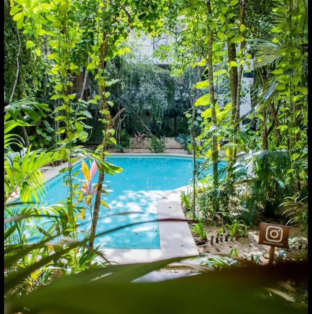 דירות טולום Refugio Armonia Con Piscina Privada - Harmony Retreat With Private Pool
